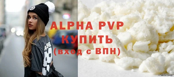 шишки Надым
