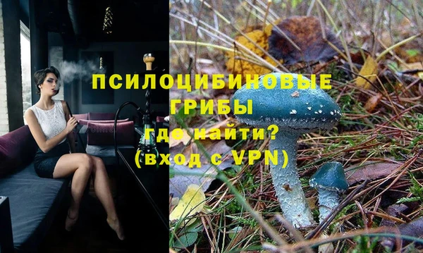 мдпв Наволоки