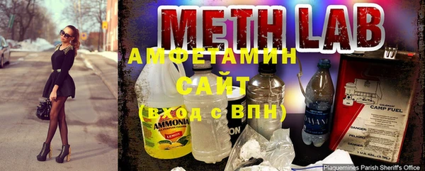 гидра Аркадак