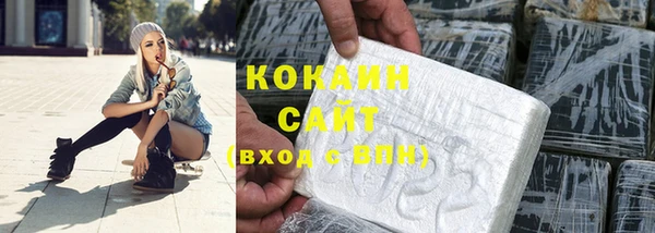 шишки Надым